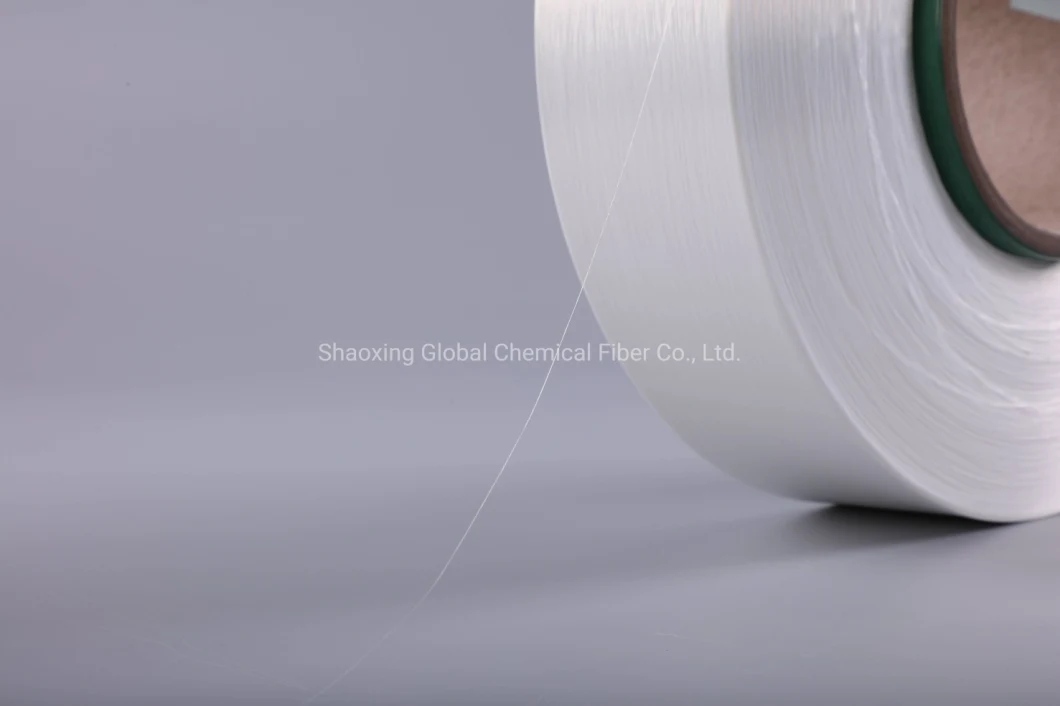 Excellent Adhesive Low Melt Bonding Polyester Yarn 100d for Chenille